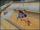 Tony Hawk