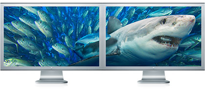 Dual Cinema Displays