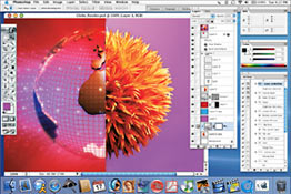 Adobe Photoshop screen